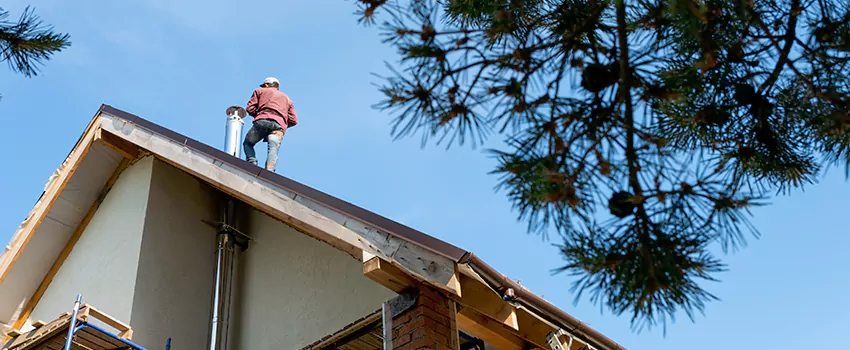 Birds Removal Contractors from Chimney in South River, NJ